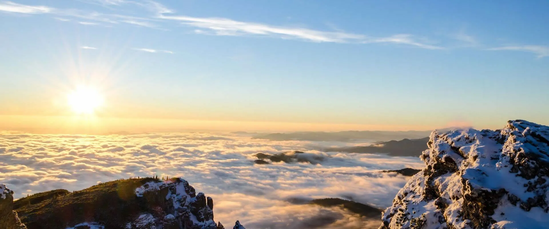 Глубокое понимание процессов продаж и производства.